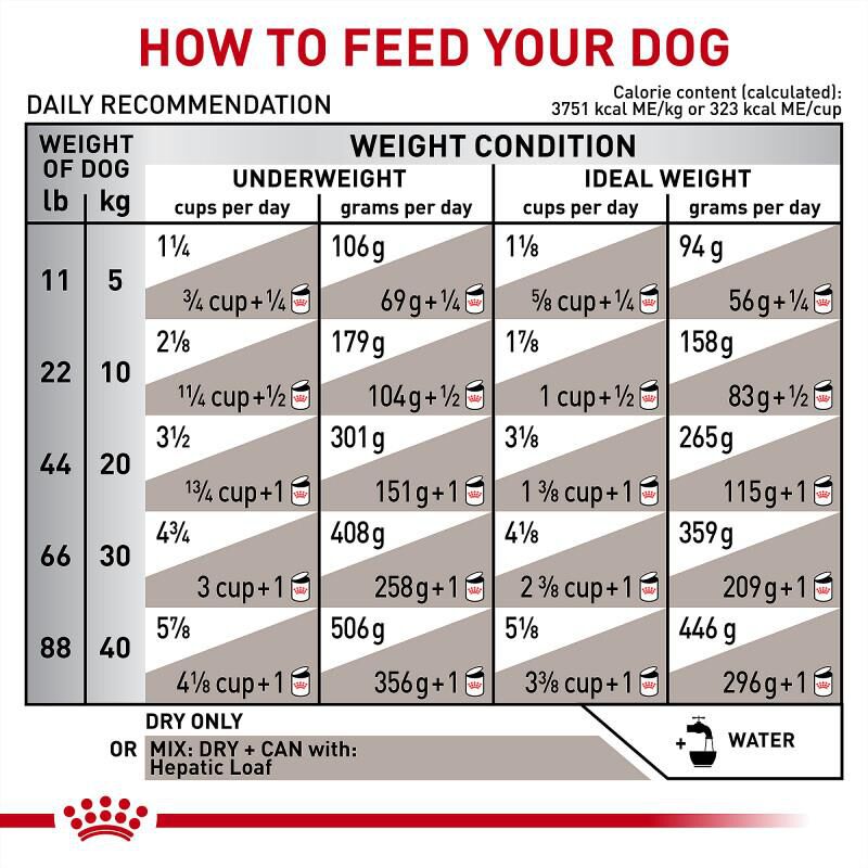 Royal Canin Veterinary Diet Adult Hepatic Dry Dog Food