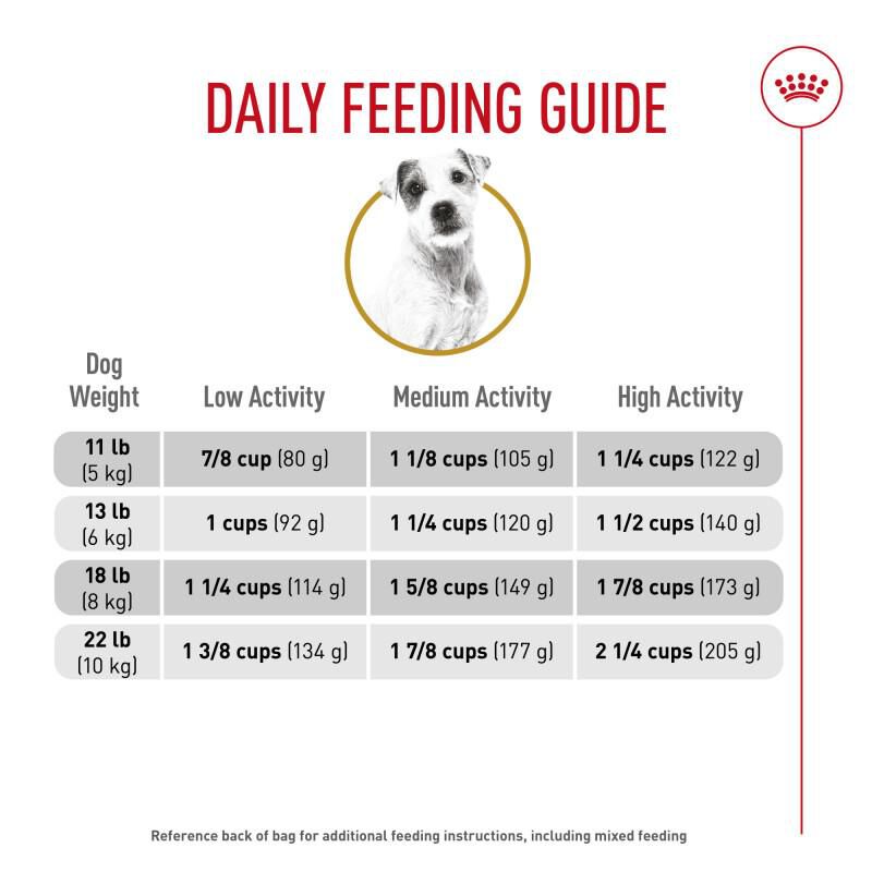 Royal Canin Breed Health Nutrition Jack Russell Terrier Adult Dry Dog Food, 10 lb bag
