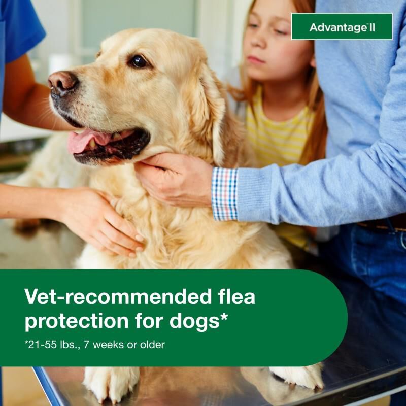 Advantage II for Dogs 21 - 55 Red 6 Month