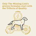 The Missing Link Original Skin & Coat Powder Supplement For Dogs, 5 lbs