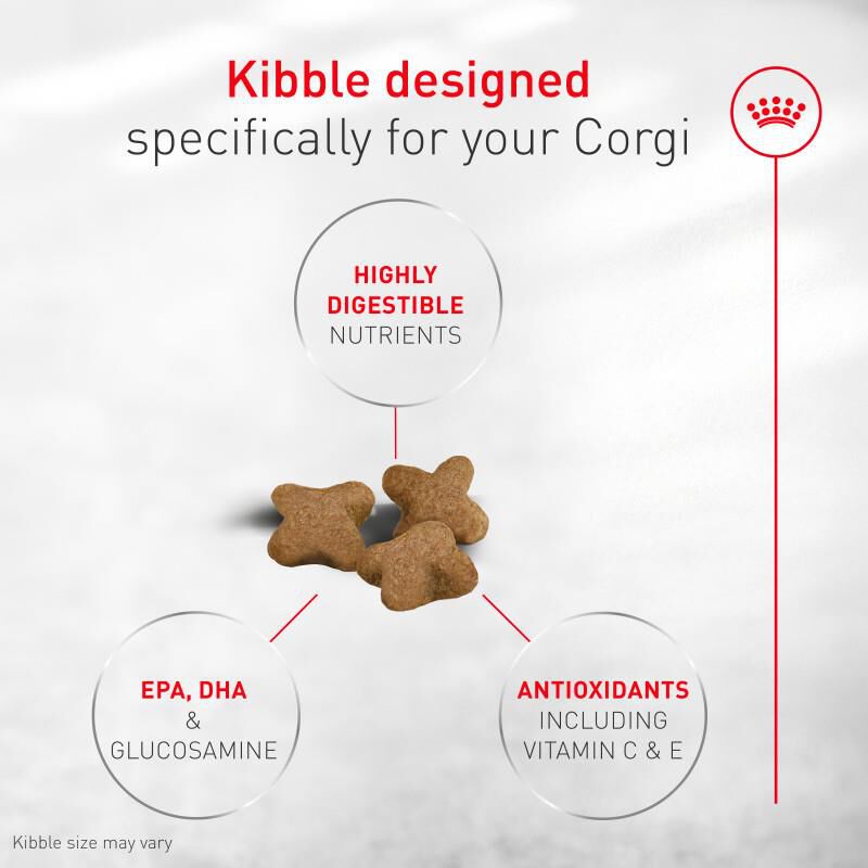 Royal Canin Breed Health Nutrition Corgi Puppy Dry Dog Food
