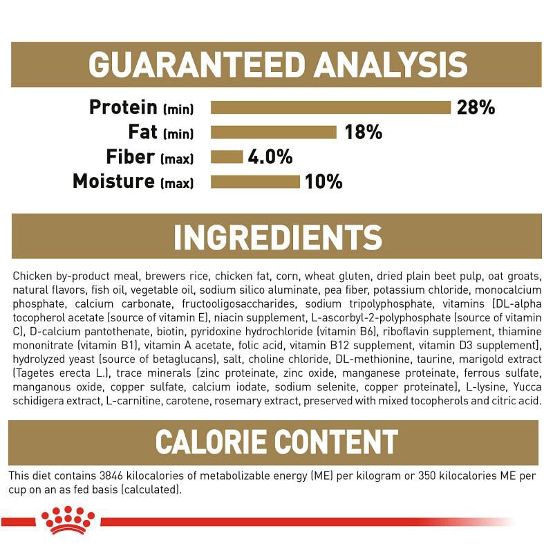 Royal Canin Breed Health Nutrition Chihuahua Puppy Dry Dog Food, 2.5 lb bag