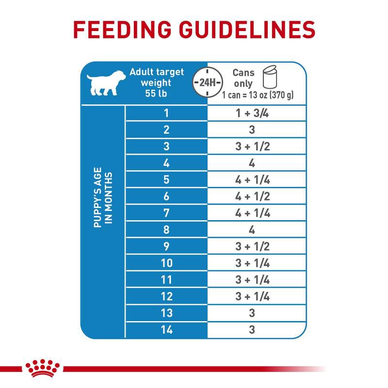 Royal Canin Size Health Nutrition Large Puppy Thin Slices in Gravy Canned Dog Food, 12 x 13 oz cans