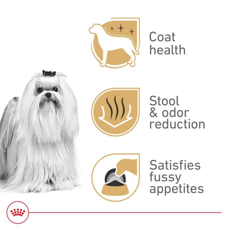 Royal Canin Breed Health Nutrition Maltese Adult Dry Dog Food