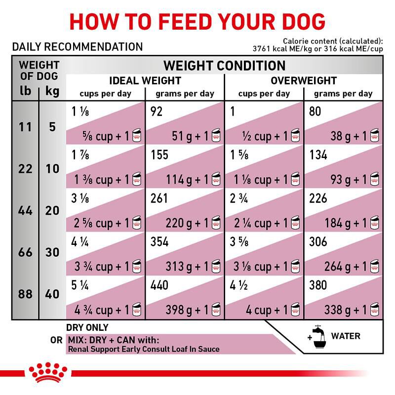 Royal Canin Veterinary Diet Adult Renal Support Early Consult Dry Dog Food