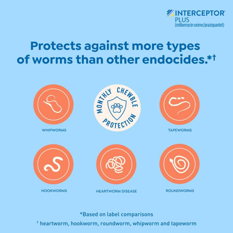 Interceptor Plus Chewable Tablets for Dogs 50.1-100 lbs Blue, 6 Month Supply