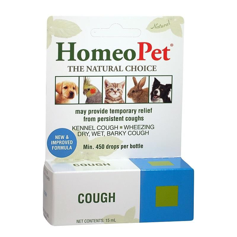 Kennel cough meds for dogs outlet