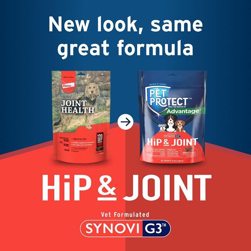 Pet Protect Hip & Joint Synovi G3 Soft Chews for Dogs, 240 Ct.