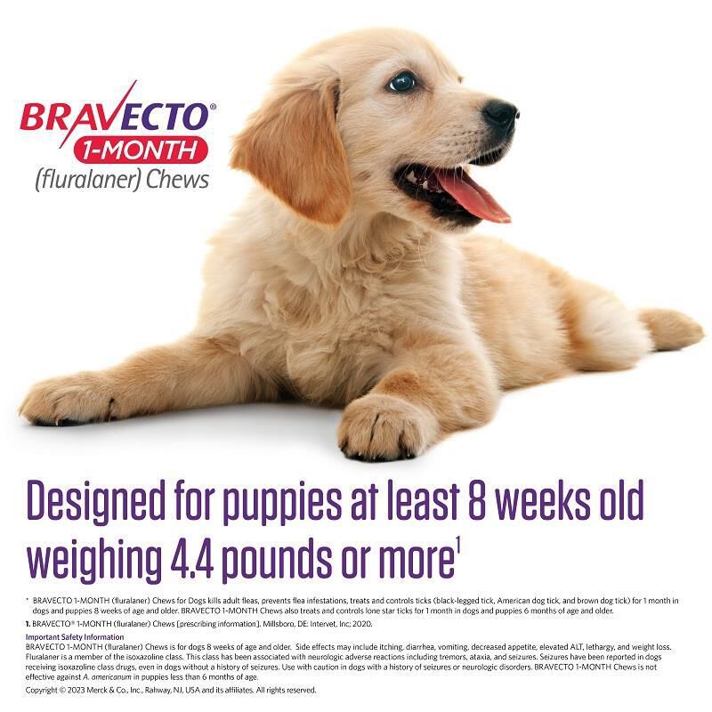 Bravecto Chewable Tablets 44-88 lbs Blue 400 mg, 1 chewable 1 month acting