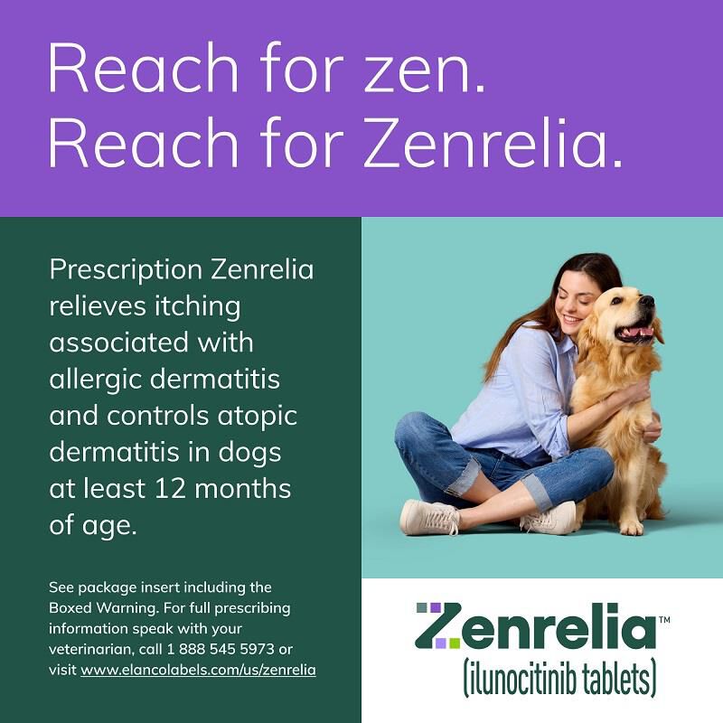 Zenrelia (ilunocitinib) Tablets for Dogs, 15 mg 90 ct