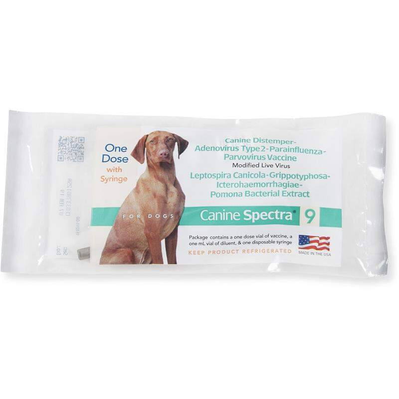 Canine Spectra 10 (10-way) Dog Vaccine | ubicaciondepersonas.cdmx.gob.mx