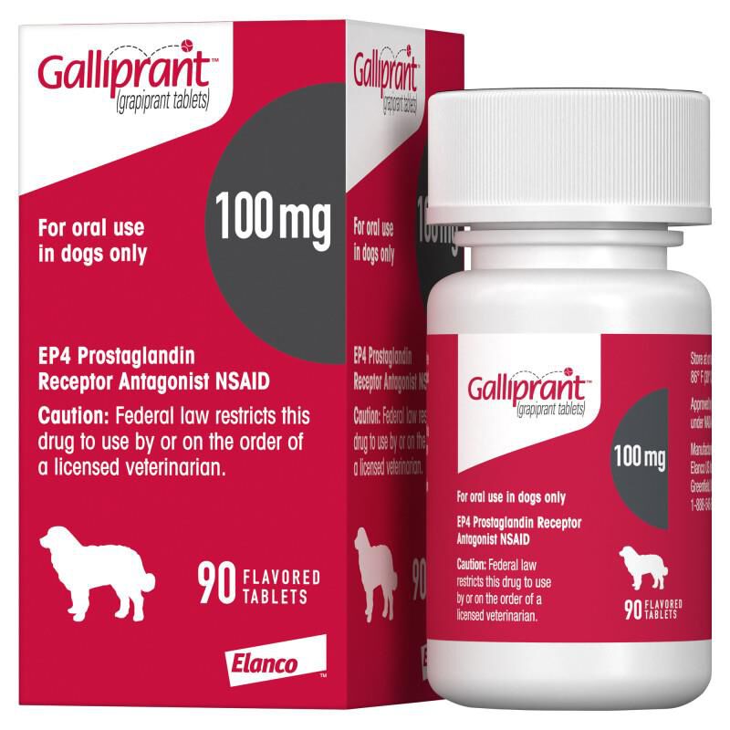 Galliprant Flavored Tablets 20 mg, 60 mg, 100 mg Allivet