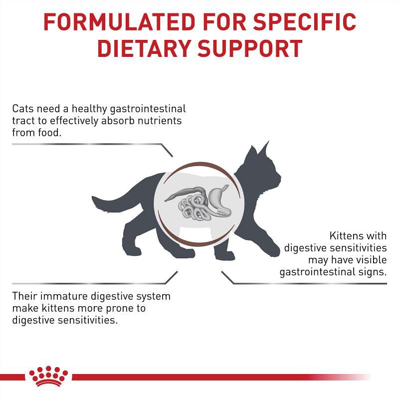 Royal Canin Veterinary Diet Gastrointestinal Kitten Dry Food