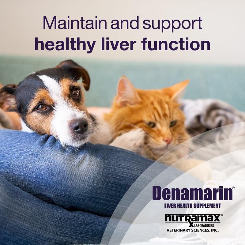 Denamarin Small Dogs & Cats 30 Ct. (Bottle)