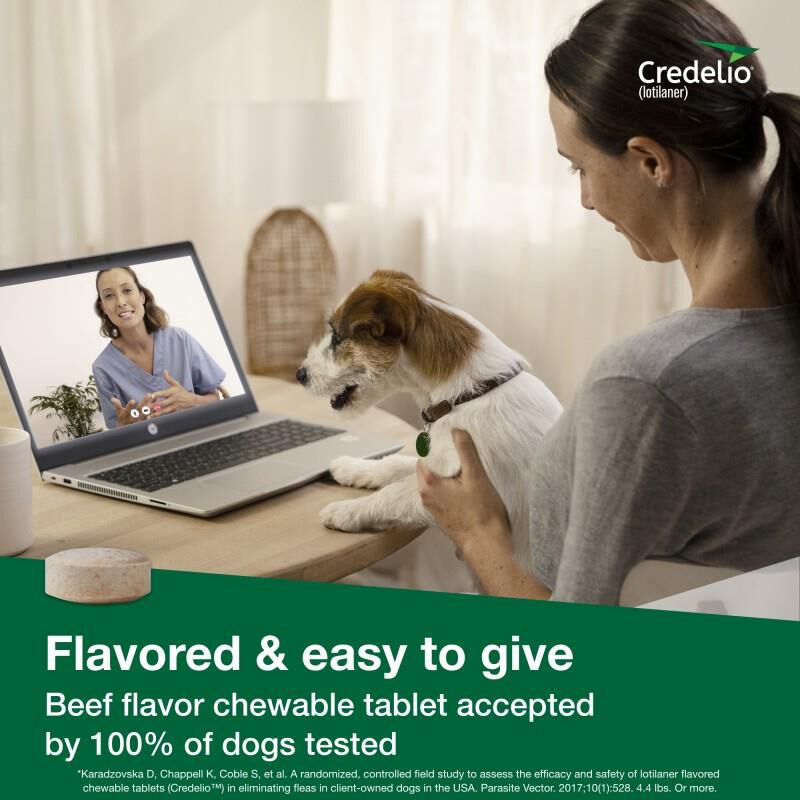 Credelio Flea & Tick Chewable Pills for Dogs & Puppies