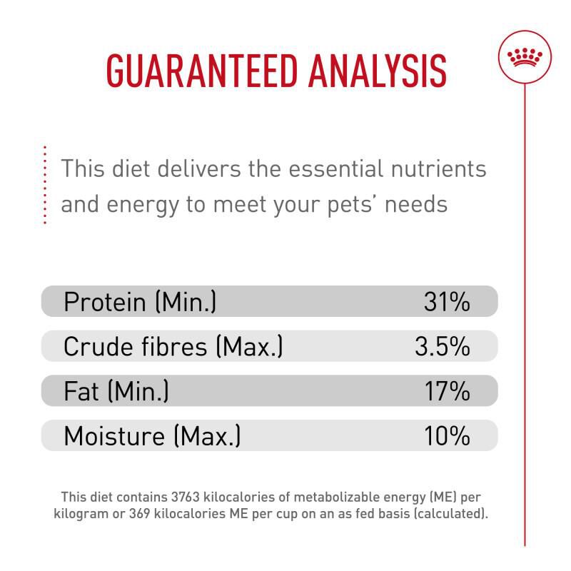 Royal Canin Breed Health Nutrition Poodle Puppy Dry Dog Food, 2.5 lb bag