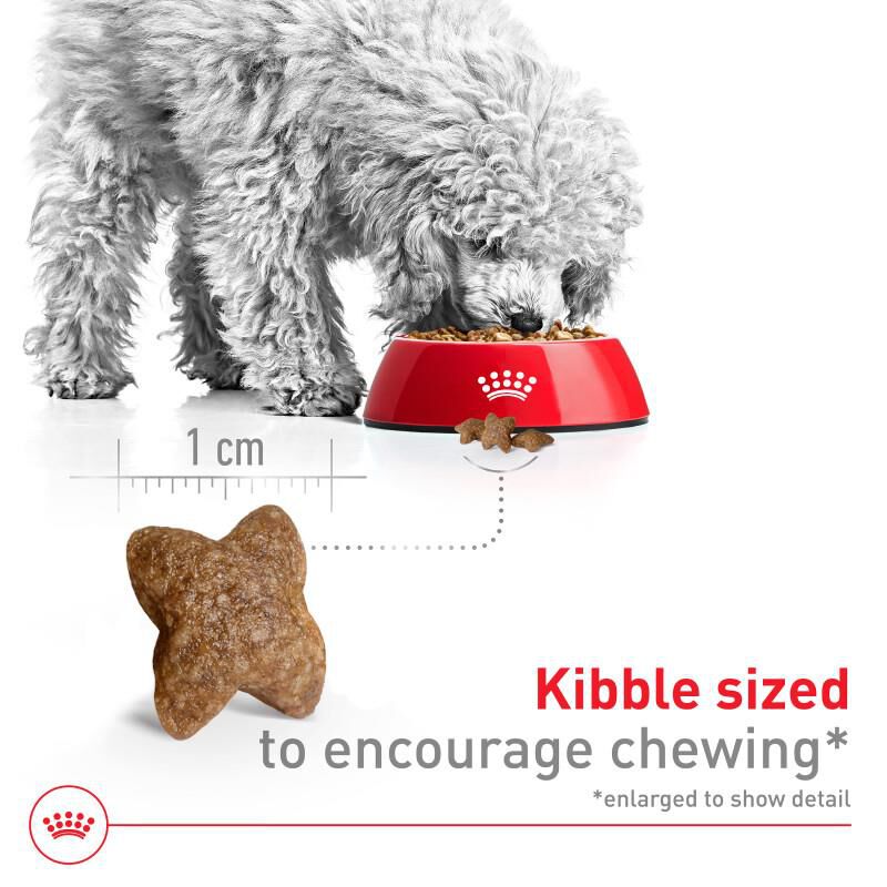 Royal Canin Size Health Nutrition Small Adult Dry Dog Food