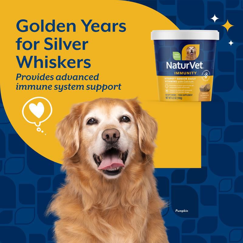 NaturVet VitaPet Senior Daily Vitamins Plus Glucosamine for Dogs, 60 Soft Chews