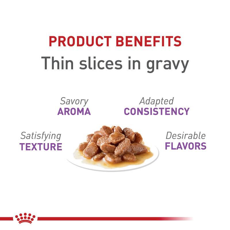 Royal Canin Feline Care Nutrition Adult Appetite Control Care Thin Slices in Gravy Canned Cat Food, 24 x 3 oz cans
