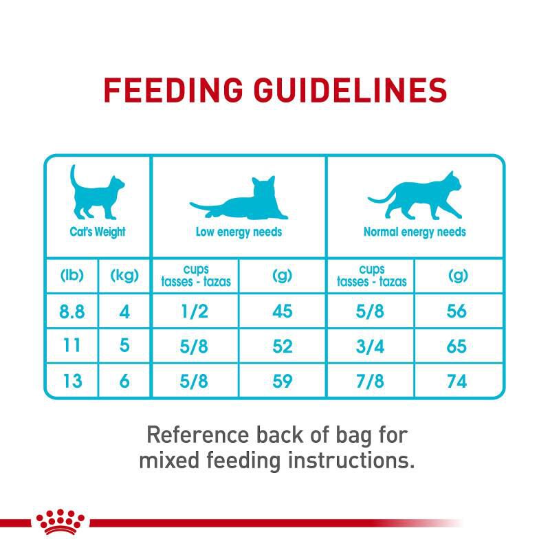 Royal Canin Feline Care Nutrition Urinary Care Adult Dry Cat Food