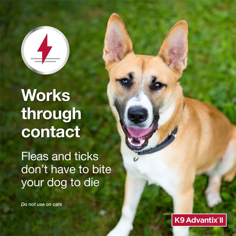 K9 Advantix II for Dogs Over 55 Blue, 1 Month Supply