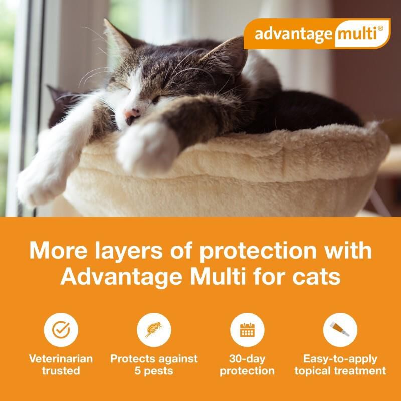 Advantage Multi for Cats 5.1-9 lbs Orange, 3 Month Supply
