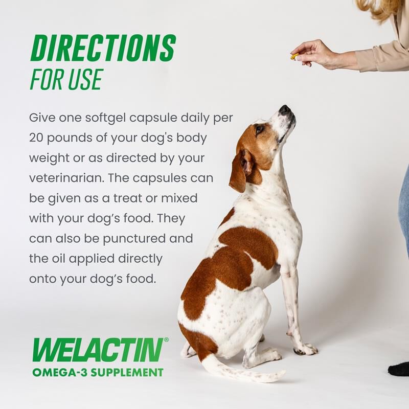 Nutramax Laboratories, Inc. Welactin Canine Softgel Capsules for Dogs, 120 Count