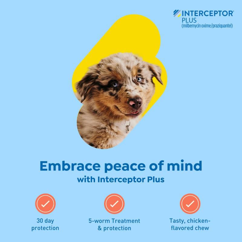 Interceptor Plus Chewable Tablets for Dogs 2-8 lbs Orange, 1 Month Supply
