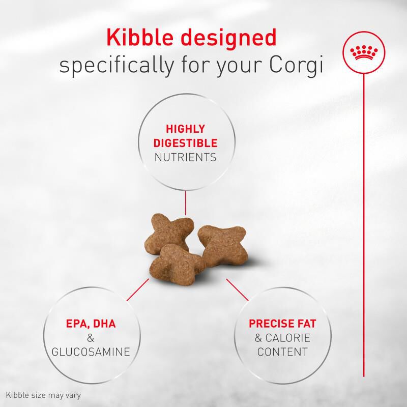 Royal Canin Breed Health Nutrition Corgi Adult Dry Dog Food