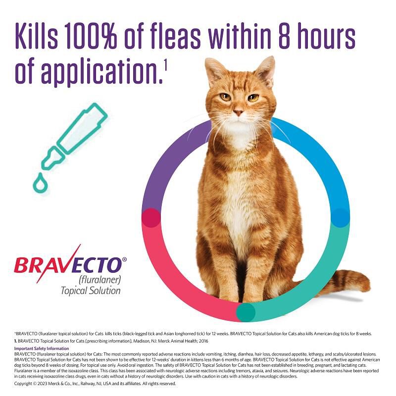 Bravecto Topical Solution for Cats, 6.2 - 13.8 lbs 250 mg Blue
