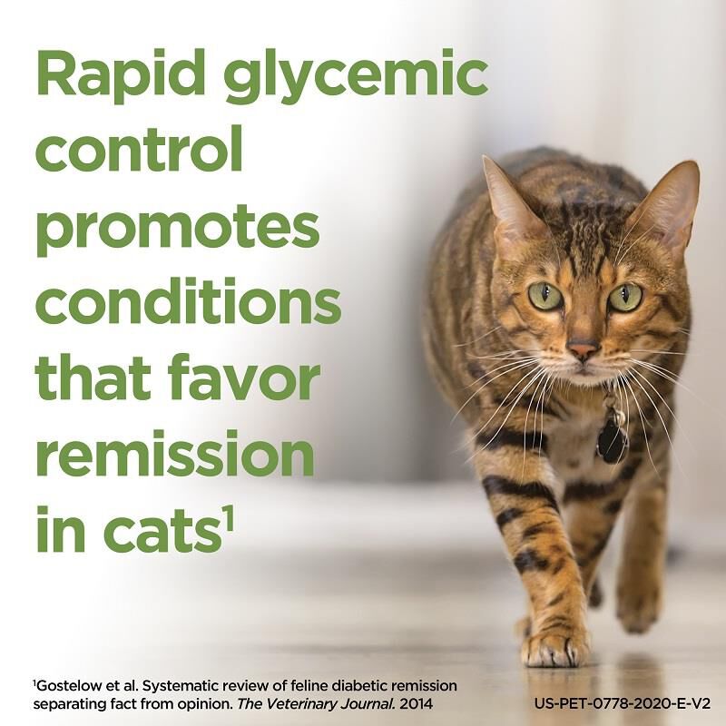 ProZinc Cat Insulin 10 mL Vial Allivet