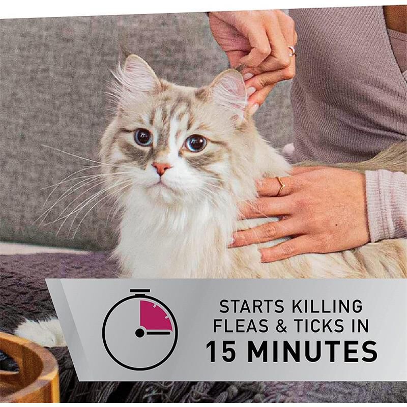 NEXTSTAR Fast Acting Cat Flea & Tick Treatment, 3 doses