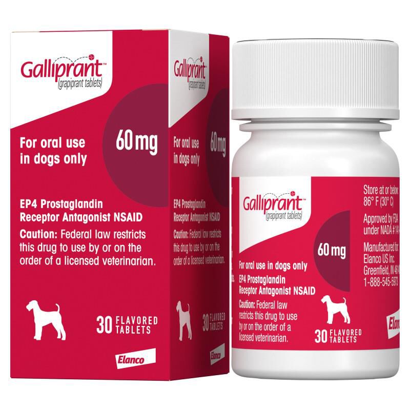 Galliprant Flavored Tablets 20 mg, 60 mg, 100 mg Allivet