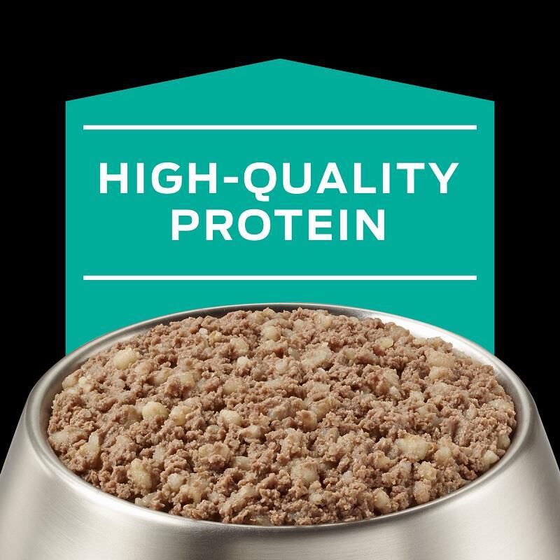 Purina Pro Plan Veterinary Diets EN Gastroenteric Canine Formula, 12 x 13.4 oz cans