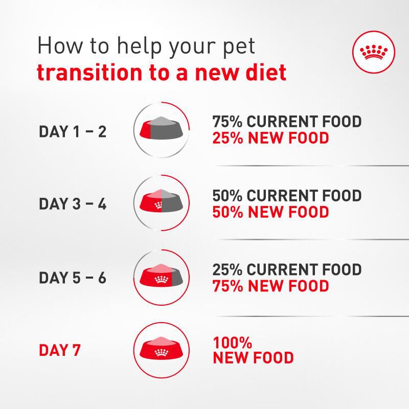 Royal Canin Breed Health Nutrition Corgi Puppy Dry Dog Food