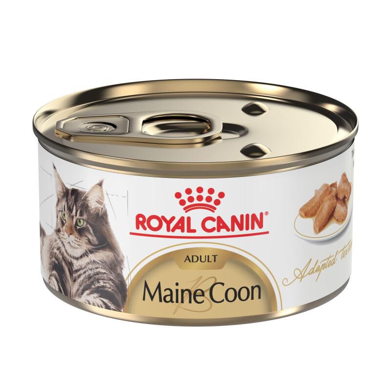 Royal Canin Feline Breed Nutrition Maine Coon Adult Thin Slices in Gravy Canned Cat Food, 24 x 3 oz cans