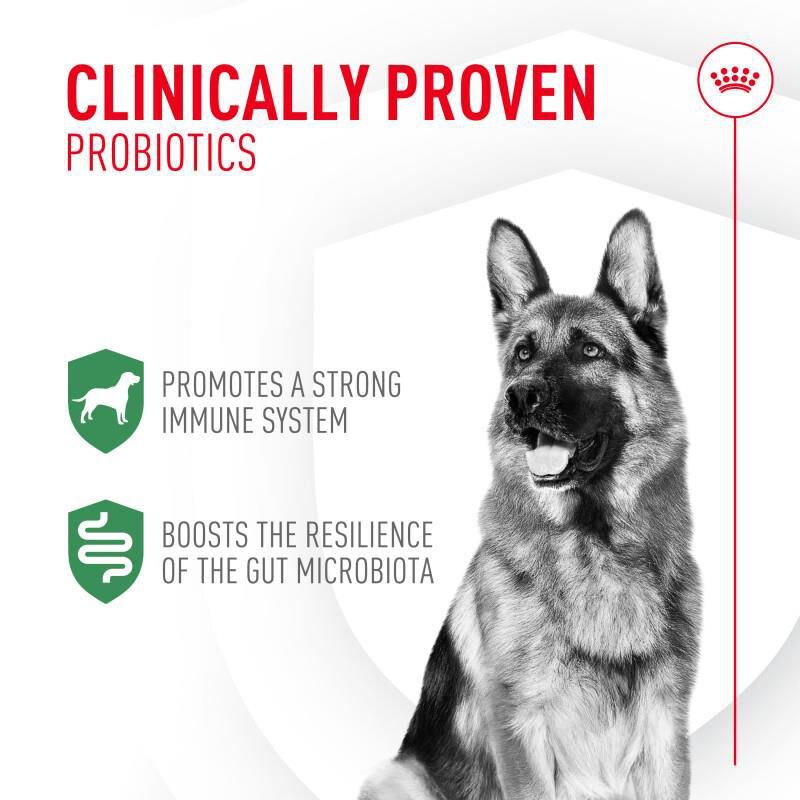 Royal Canin Probiotics Digestive & Immune Health Powder Supplement for Dogs, 7 x 1 gm packets