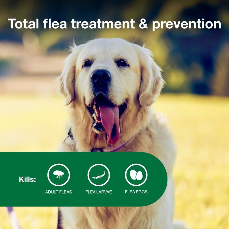 Advantage II for Dogs 21 - 55 Red 6 Month