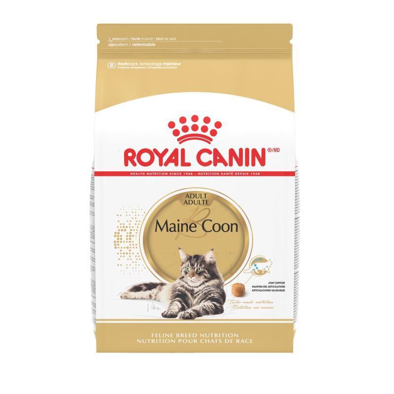 Royal Canin Feline Breed Nutrition Maine Coon Adult Dry Cat Food
