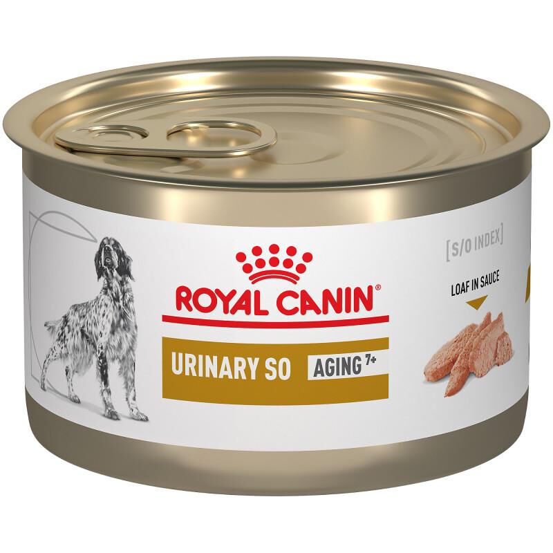 Royal Canin Veterinary Diet Adult Urinary SO Aging 7+ Loaf in Sauce Canned Dog Food, 24 x 5.2 oz cans