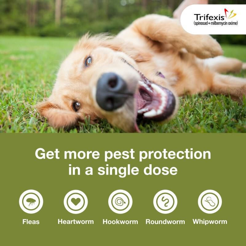 Trifexis Chewable Tablets for Dogs 60.1-120 lbs Brown, 3 Month Supply