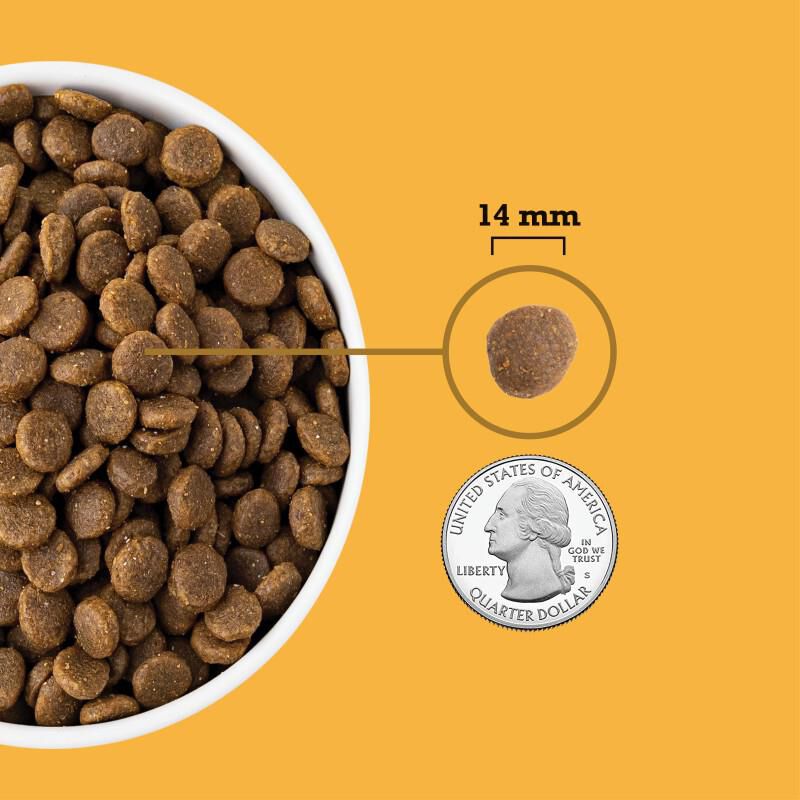 Acana Heritage Free-Run Poultry Formula Dry Dog Food, 25 lbs
