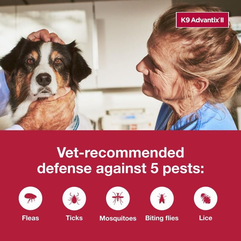 K9 Advantix II Flea and Tick Treatment for Large Dogs, 6 monthly treatments