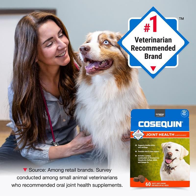 Cosequin Max Strength Joint Supplement for Dogs w/MSM plus Omega-3's, 60 Soft Chews