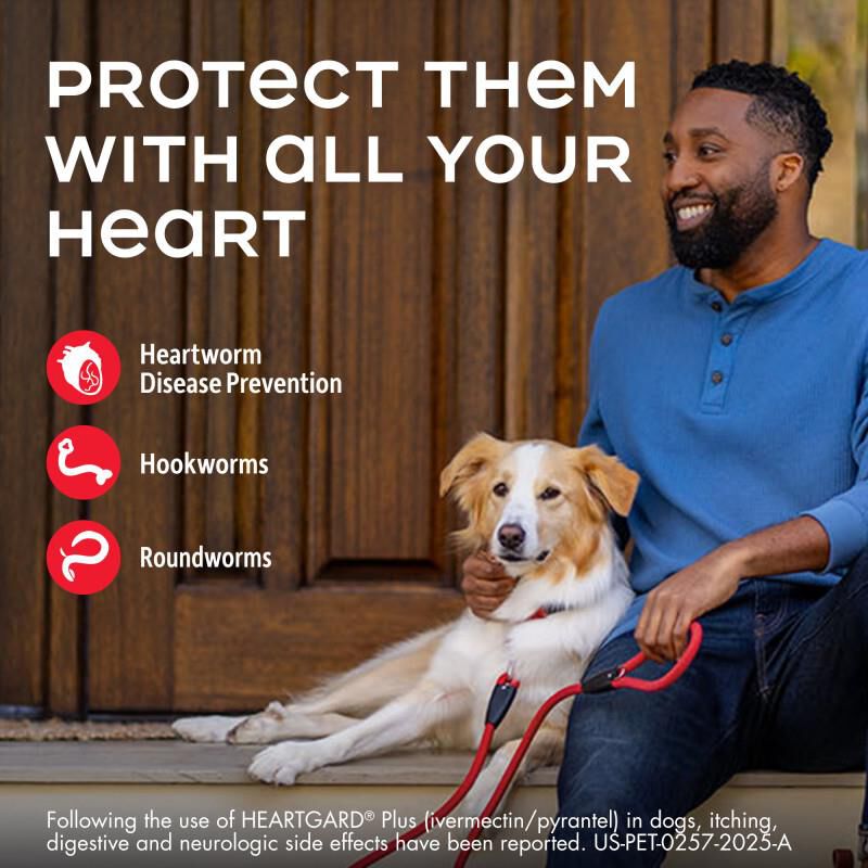 Heartgard Plus Chewable for Dogs 1-25 lbs Blue, 12 Month Supply
