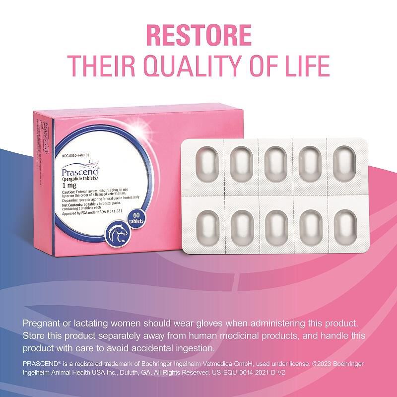 Buy Prascend Tablets for Horses 60 Ct., 160 Ct. Allivet