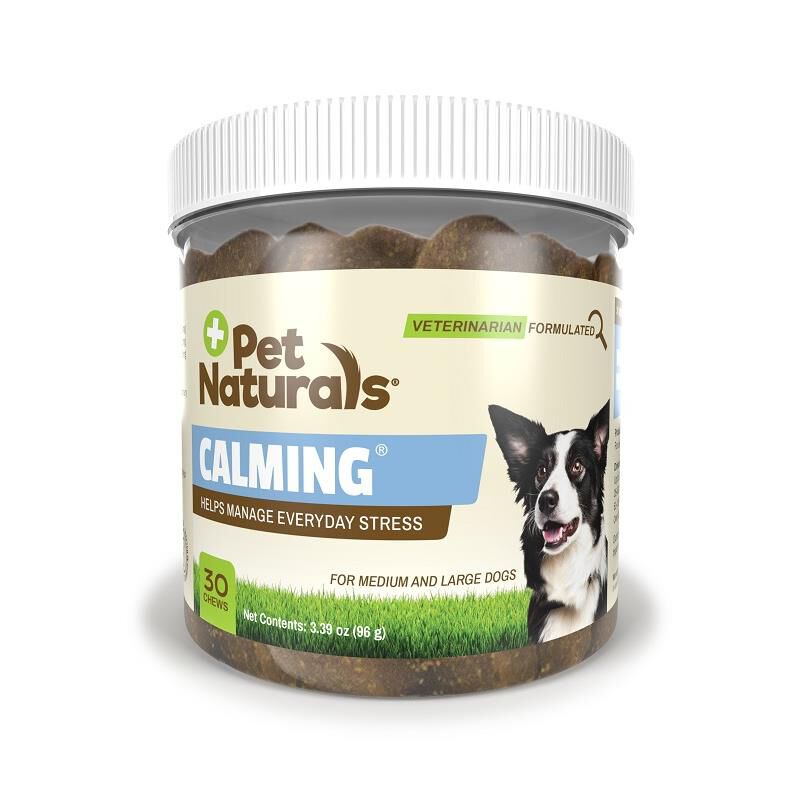 Over the counter medicine for dog anxiety online