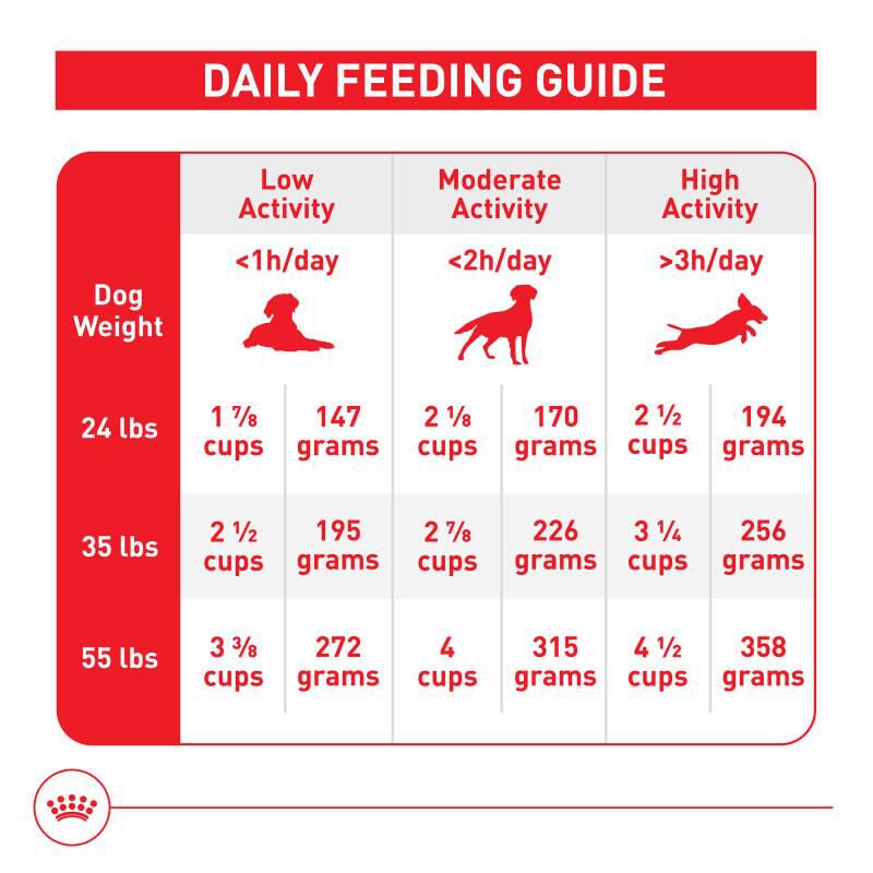 Royal Canin Size Health Nutrition Medium Aging 10+ Dry Dog Food, 30 lb bag
