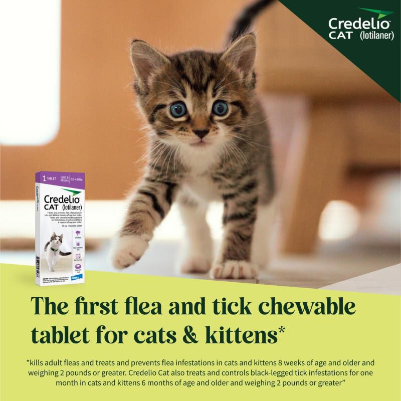 Credelio CAT Flea & Tick Chewable Tablets for Kittens 2.0-4.0 lbs (12 mg) Purple, 1 Month Supply
