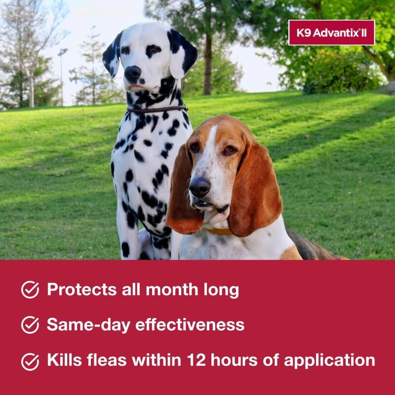 K9 Advantix II for Dogs Up to 10 lb Green, 2 Month Supply